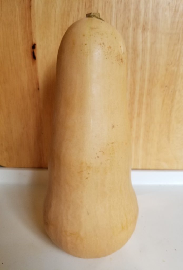 Butternut Squash