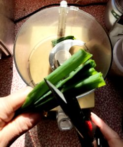 Cutting Scallions.