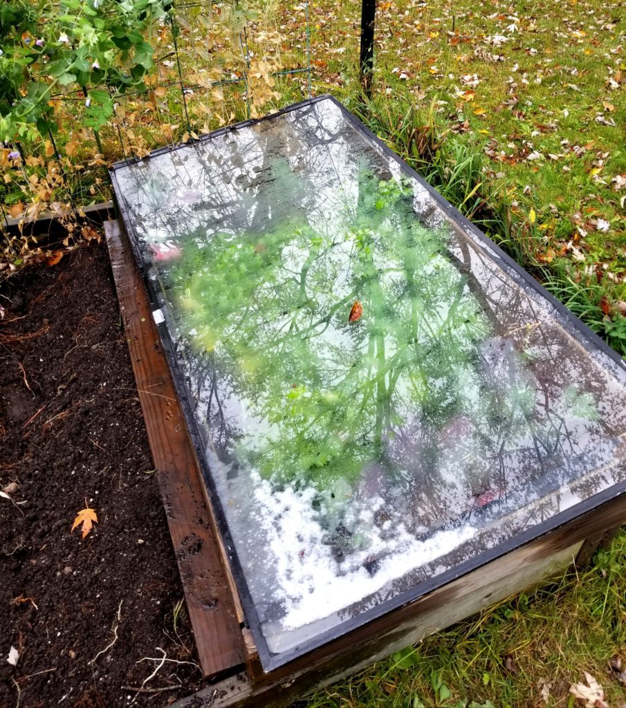 Cold Frame.