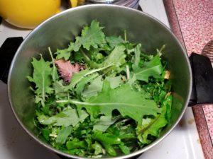 Kale added to Garlic and Oil