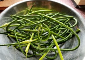 Garlic Scapes tossed with oil and salt.